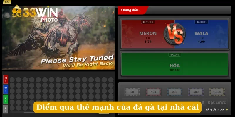 Điểm qua thế mạnh của đá gà tại nhà cái